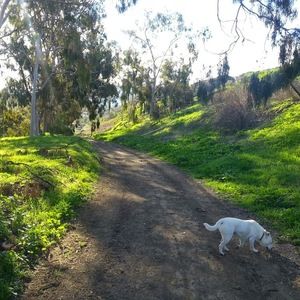 Meet your Posher, Cole